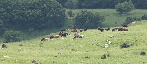 Хосровский запаведник Хосровский запаведник - Sputnik Արմենիա