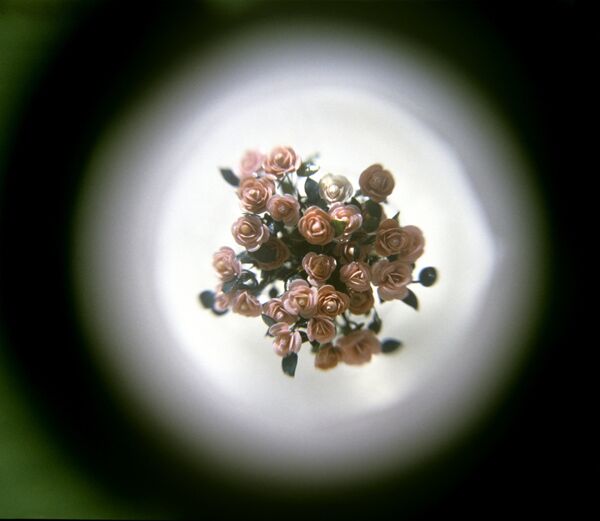 Микроминиатюра Розы Эдуарда Казаряна Микроминиатюра Розы Эдуарда Казаряна - Sputnik Армения