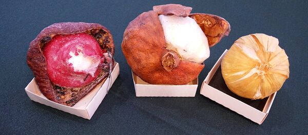 Контейнеры для перевозки наркотиков - Sputnik Армения