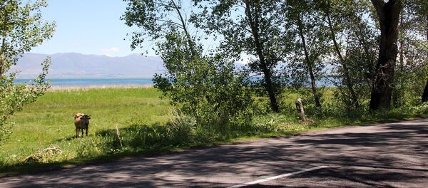 Озеро Севан, Мартуни Озеро Севан, Мартуни - Sputnik Արմենիա