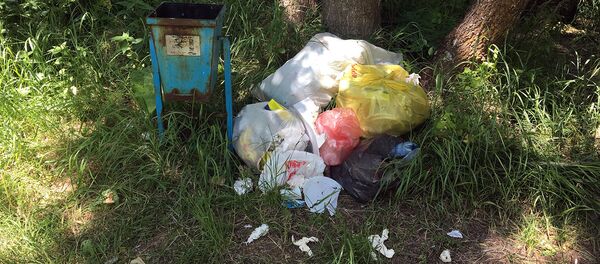 Мусор на природе - Sputnik Армения