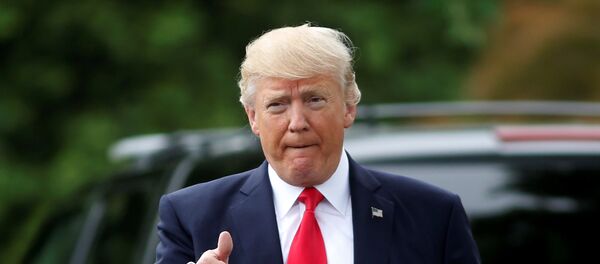 Президент США Дональд Трамп - Sputnik Армения