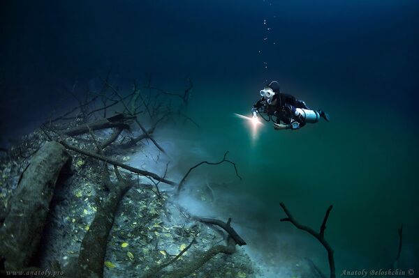 дайвер обнаружил подводную реку дайвер обнаружил подводную реку - Sputnik Армения