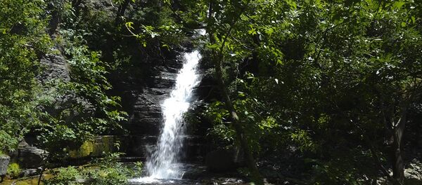 Խոսրովի անտառի հսկա բնակիչն ու հեթանոս աստվածուհու բնական լոգարան Խոսրովի անտառի հսկա բնակիչն ու հեթանոս աստվածուհու բնական լոգարան - Sputnik Արմենիա