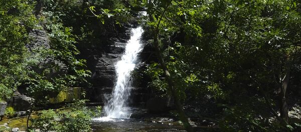 Гигантский обитатель Хосровского заповедника и естественная ванна языческой богини - Sputnik Армения