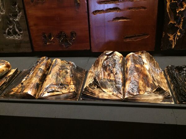 Работа, представленная армянским участником венецианского биеннале Жаном Погосяном Работа, представленная армянским участником венецианского биеннале Жаном Погосяном - Sputnik Արմենիա