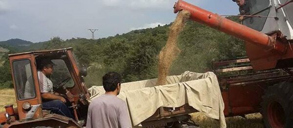 Баганис - Sputnik Армения