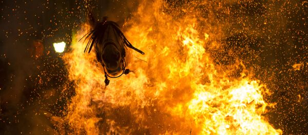 3 место в номинации «Моя планета. Одиночная фотография» 3 место в номинации «Моя планета. Одиночная фотография» - Sputnik Армения