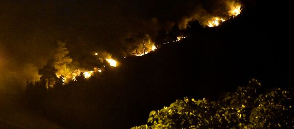 Горящие деревья на Мтацминда: огонь охватил лес за считанные минуты Горящие деревья на Мтацминда: огонь охватил лес за считанные минуты - Sputnik Армения