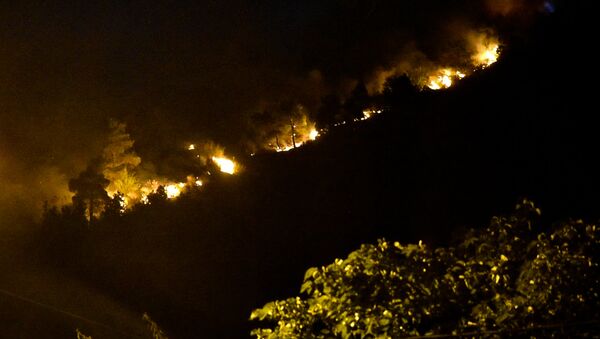 Горящие деревья на Мтацминда: огонь охватил лес за считанные минуты - Sputnik Արմենիա