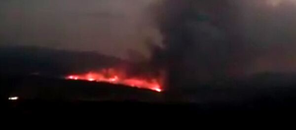 Пожар в Артаване Пожар в Артаване - Sputnik Արմենիա