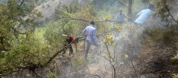 Пожар в Артаване Пожар в Артаване - Sputnik Արմենիա