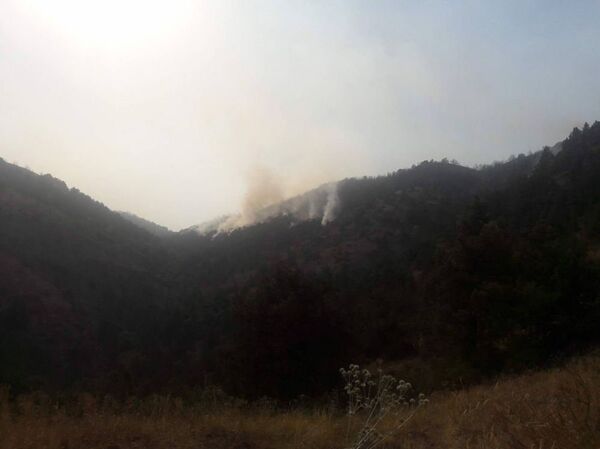 Пожар в Артаване Пожар в Артаване - Sputnik Армения