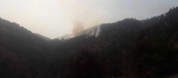 Пожар в Артаване Пожар в Артаване - Sputnik Արմենիա