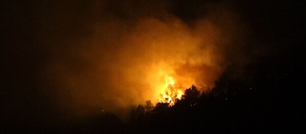 Пожар Пожар - Sputnik Армения