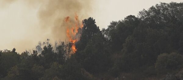 Пожар в Артаване - Sputnik Армения