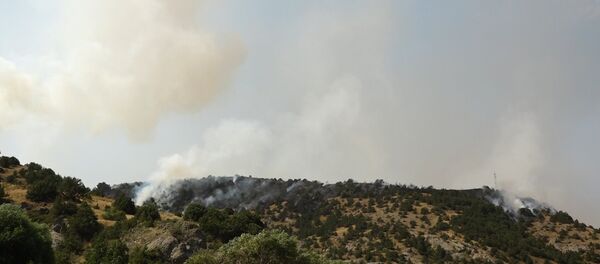 Пожар в Артаване - Sputnik Армения