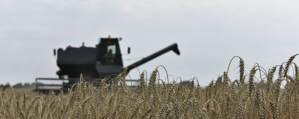 Уборка зерновых Уборка зерновых - Sputnik Արմենիա