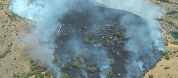 Пожар в Хосровском лесу Пожар в Хосровском лесу - Sputnik Армения