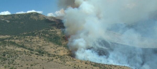 Пожар в Хосровском лесу - Sputnik Армения