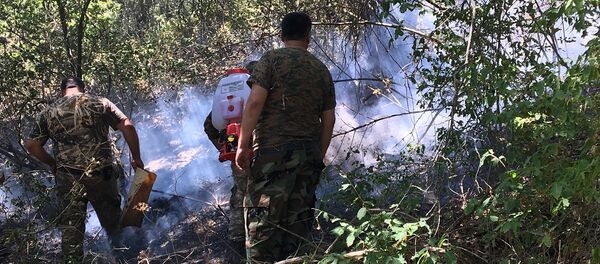 Пожар в хосровском лесу - Sputnik Արմենիա