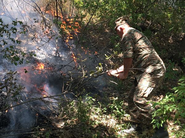 Пожар в хосровском лесу - Sputnik Армения