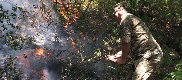 Пожар в хосровском лесу Пожар в хосровском лесу - Sputnik Армения