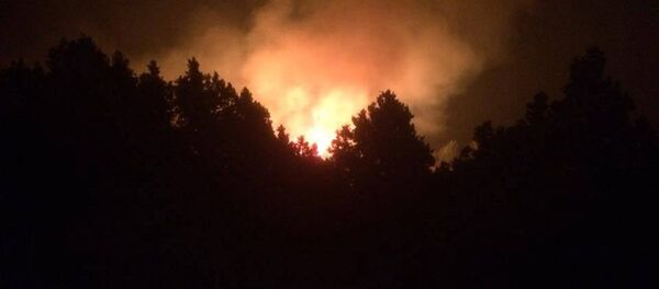 Пожар в Артаване - Sputnik Армения