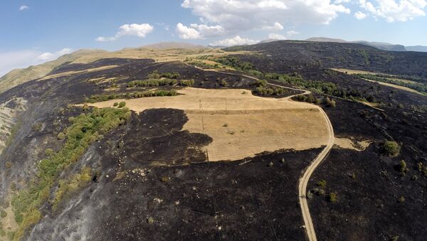 Пожар в Артаване. Съемка с дрона - Sputnik Армения