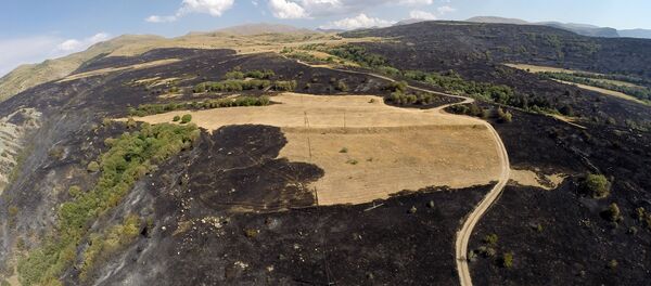 Пожар в Артаване. Съемка с дрона Пожар в Артаване. Съемка с дрона - Sputnik Армения
