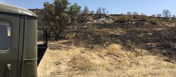 Пожар в Хосровском лесу - Sputnik Արմենիա