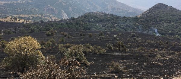 Пожар в Хосровском лесу - Sputnik Армения