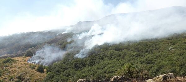 В Хосровском заповеднике все еще не удалось потушить огонь В Хосровском заповеднике все еще не удалось потушить огонь - Sputnik Армения