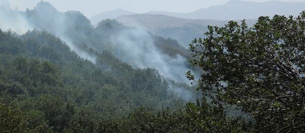 Пожар в Хосровском лесу - Sputnik Армения