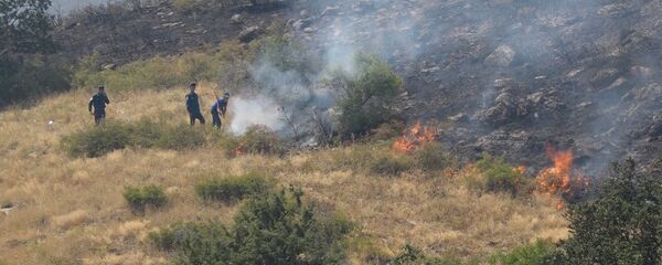 Пожар в Хосровском лесу Пожар в Хосровском лесу - Sputnik Արմենիա