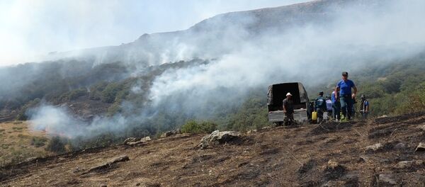 Пожар в Хосровском лесу.Сотрудники МЧС РА - Sputnik Արմենիա