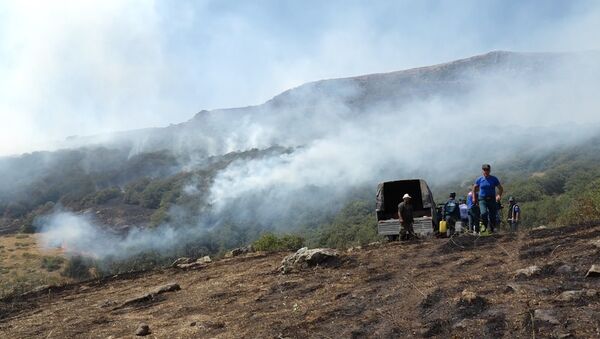 Пожар в Хосровском лесу.Сотрудники МЧС РА - Sputnik Армения