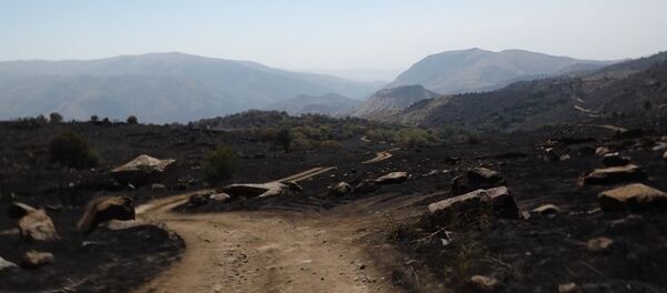 Пожар в Хосровском лесу. Пожар в Хосровском лесу. - Sputnik Արմենիա