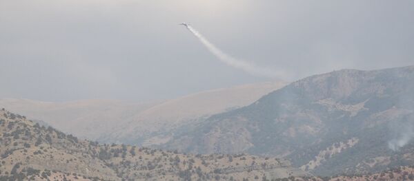 Тушение пожара в Хосровском лесу с помощью российского самолета Ил-76 - Sputnik Արմենիա