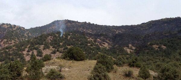 Пожар в Хосровском лесу - Sputnik Армения