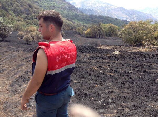 Пожар в Хосровском лесу. Сотрудник МЧС - Sputnik Армения