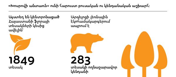 Հրդեհը ոչնչացրեց Խոսրովի անտառի 10 տոկոսը Հրդեհը ոչնչացրեց Խոսրովի անտառի 10 տոկոսը - Sputnik Արմենիա