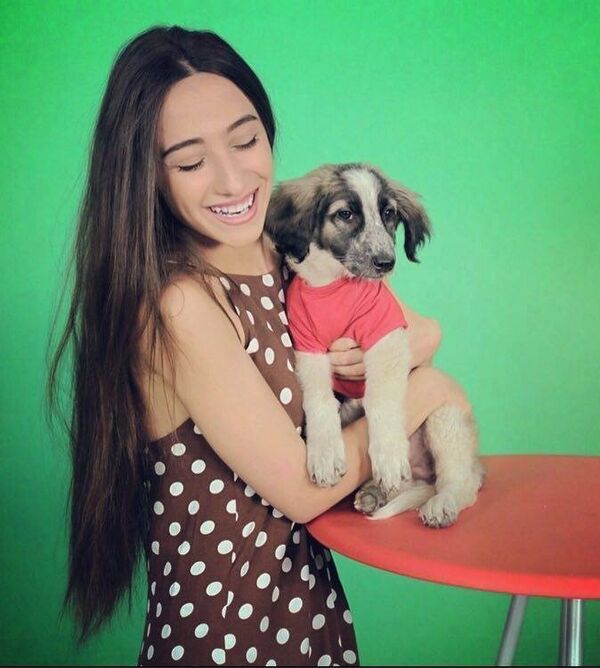 Татев Овакимян с собакой из приюта Татев Овакимян с собакой из приюта - Sputnik Արմենիա