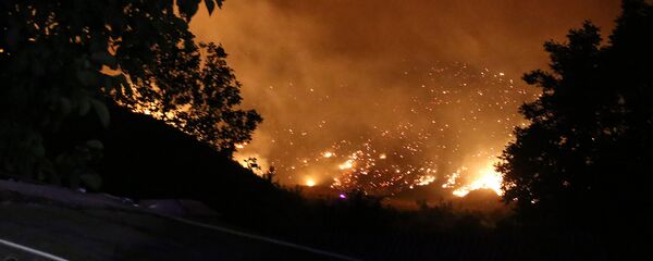 Вид с автотрассы на горящий Боржоми-Харагаульский лес Вид с автотрассы на горящий Боржоми-Харагаульский лес - Sputnik Армения