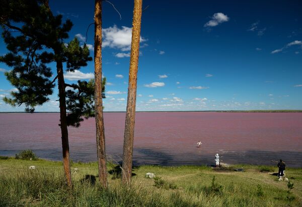 Отдыхающие на горько-соленом Малиновом озере в Михайловском районе Алтайского кра - Sputnik Армения
