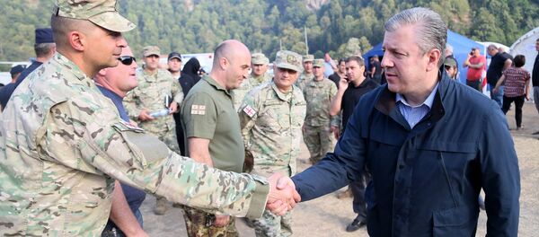 Военные и Георгий Квирикашвили в Боржоми-Харагаульском лесу - Sputnik Армения