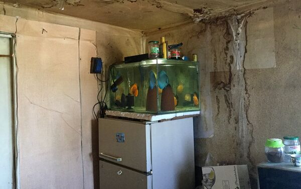 Жилищные условия семьи Кочарянов в домике - Sputnik Армения