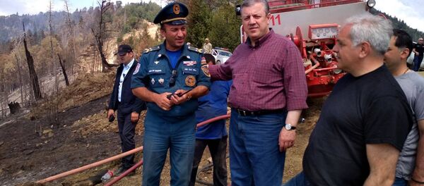 Премьер-министр благодарит пожарных-спасателей из Армении - Sputnik Армения