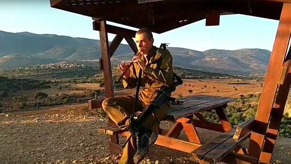 Солдат израильской армии играет на армянском дудуке - Sputnik Армения