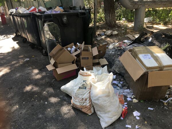 Пашиняна загрузили? Пока в сети кидаются фото, в мусорный бой за Ереван пошли старики - Sputnik Армения